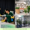 CHĂM SÓC CÂY XANH VĂN PHÒNG – VỆ SINH VĂN PHÒNG DOANH NGHIỆP ĐỒNG NAI