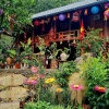 Homestay nghỉ dưỡng giữa thiên nhiên - View ruộng bậc thang, suối thác quanh năm - Chỉ 40km từ Hà