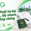 Dịch hồ sơ du học và định cư
