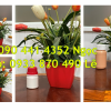 Vỏ chai nhựa 500ml, chai lọ 250ml đựng hóa chất