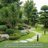 DỊCH VỤ CHĂM SÓC CÂY CẢNH QUANG MINH LANDSCAPE ĐỒNG NAI