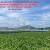 ĐẤT ĐẸP - GIÁ SIÊU TỐT - BÁN ĐẤT VIEW ĐẸP ĐỨC TRỌNG – LÂM ĐỒNG - Hơn 1Ha-  GIÁ 24 TỶ