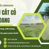  Nhận cắt cỏ khu dân cư, đất dự án, đô thị