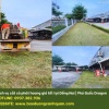 Dịch Vụ Cắt Cỏ Phát Hoang Tại Đồng Nai, TP.HCM Bạn đang đau đầu vì cỏ dại mọc um tùm trên đất dự án,