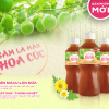 Sâm La Hán Hoa Cúc Thái Sơn - Khi cơ thể cần sự sảng khoái, hãy chọn hương vị từ thiên nhiên.