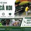 NHẬN VỆ SINH HỒ CÁ KOI TẠI NHÀ GIÁ CẢ HỢP LÝ