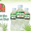 Sản phẩm Nha Đam Mủ Trôm Thái Sơn