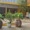 CHÍNH CHỦ CHO THUÊ MẶT BẰNG KINH DOANH và NHÀ Ở HƠN 500m² – VỊ TRÍ ĐẸP TẠI CẦN GIỜ