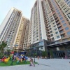 Chính chủ cần cho thuê căn hộ chung cư SkyCentral - 176 phố Định Công - Hoàng Mai - Hà Nội.
