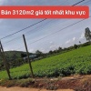 Bán 3120m2 đất xã Tân Hội Đức Trọng Lâm Đồng 4 tỷ