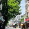 Chủ nhà là người anh xã hội gửi bán, khách có thiện chí mua sẽ trao đổi thương lượng. Giá tốt 26 Đ