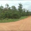 CHÍNH CHỦ CẦN BÁN 9 SÀO ĐẤT ĐẸP – ĐẮK WUAL 4, ĐẮK RUNG, ĐẮK SONG, ĐẮK NÔNG