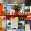 SX can nhựa 1 lít, can nhựa đựng 2 lít hóa chất, can nhựa 5 lít đựng thuốc thử nghiệm động vật 