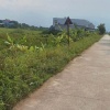 Chính chủ cần bán lô đất cạnh trường Tiểu học Đại Hoàng (xã Gia Trung cũ), Xã Đại Hoàng, Ninh Bình