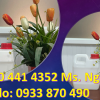 Báo giá can nhựa 0.5 lít, can nhựa 1 lít đựng thuốc nhuộm tóc