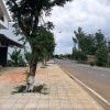 Đất chính chủ Hoàng Văn Thụ - Phường 1, 110m2 full thổ cư, gần Tôm Búng, chỉ 6,1 tỷ, đầu tư sáng giá