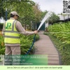 Chăm sóc cây xanh Cắt cỏ KCN Biên Hòa Đồng Nai