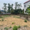 CHÍNH CHỦ CẦN BÁN ĐẤT ĐẸP THANH TRÍ – MINH PHÚ – SÓC SƠN, HÀ NỘI NHỈNH 6 TỶ