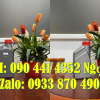 Công ty sx can nhựa 500ml, can nhựa 1 lít, bình nhựa 2 lít đựng nước tẩy rửa đặc dụng