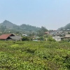 BÁN 5.000M² ĐẤT – 400M² THỔ CƯ PHƯỜNG VÂN SƠN, MỘC CHÂU
