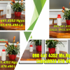 Thùng sơn 22 lít vuông, vỏ thùng sơn 30 lít tròn, thùng sơn 20 lít quai nhựa 