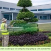 CHĂM SÓC CÂY XANH – CẮT CỎ KCN AN PHƯỚC ĐỒNG NAI