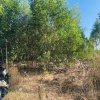 CẦN BÁN ĐẤT MẶT TIỀN  ĐƯỜNG NHỰA CHÍNH CHỦ – VỊ TRÍ TIỀM NĂNG NGAY CỤM CÔNG NGHIỆP SƠN MỸ