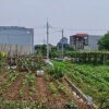 LÔ ĐẤT HIẾM LẠI YÊN, HOÀI ĐỨC – GẦN HỒ, ĐƯỜNG Ô TÔ, PHÙ HỢP Ở VÀ ĐẦU TƯ