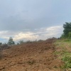 Chính chủ bán đất Bắc Sơn, Đắk Mil, Lâm Đồng - 2,75ha, cách QL14 chỉ 400m, có hồ 2.000m3