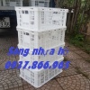 Sọt chế biến thực phẩm trong kho lạnh, sọt nhựa rỗng- sóng hở