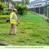 Báo Giá Cắt Cỏ Chăm Sóc Cây Xanh Bình Dương – TP.HCM