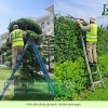 DỊCH VỤ CẮT CỎ – CHĂM SÓC CÂY XANH LỘC AN BÌNH SƠN ĐỒNG NAI