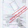 Đất khu CN Tiên Sơn, Tiên Du, Bắc Ninh, 291m2, MT 14m, kinh doanh phòng trọ. Miễn TG