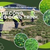 CUNG CẤP CỎ NHUNG NHẬT – CỎ LÁ GỪNG ĐỒNG NAI