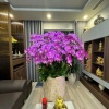 CHÍNH CHỦ BÁN CĂN D011004 – DIAMOND PALACE, 25 LÊ VĂN LƯƠNG, HÀ NỘI