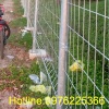 Cung cấp lưới hàng rào mạ kẽm tại Hà Nam