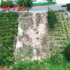Bán đất mặt tiền đường 725 Tà Nung Đà Lạt Lâm Đồng giá 9 tỷ rẻ hơn thị trường rất nhiều