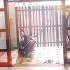 NHÀ ĐẸP – GIÁ TỐT – CHÍNH CHỦ CẦN BÁN Tại Phường 16, Gò Vấp (Phường An Hội Đông, Hồ Chí Minh mới)