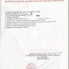 BÁN ĐẤT XÃ NGHĨA THÀNH, TP.HCM