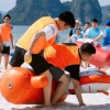 Ngựa chiến ngựa bơm hơi  Cho thuê ngựa chiến
