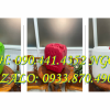 Can nhựa 25 lít đựng dung môi, can nhựa 20L, can nhựa 10 lít đựng nước mắm 