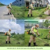 Dịch vụ cắt cỏ – cưa cây – chăm sóc cảnh quan Long Thành, Đồng Nai