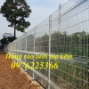 Lưới hàng rào mạ kẽm D4, D5, D6, D8 - Lưới thép Hưng Thịnh