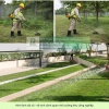 Dịch vụ cắt cỏ – cưa cây Nhơn Trạch, Đồng Nai