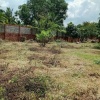 ĐẦU TƯ SINH LỜI – CẦN BÁN GẦN 1.000M² LÔ ĐẤT VƯỜN, Đ. Tam Đa, P. Long Phước, Q.9, TP.HCM