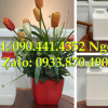 Can nhựa 1L mới, can nhựa 2L vuông, bình nhựa 5L đựng hóa chất vuông 