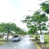 Chính chủ bán đất khu tái định cư An Hải, Hải Phòng - 81m2, ngang 4,5m, vị trí đẹp, giá 3,3 tỷ