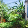 Chính chủ bán đất Phước Tân, gần bệnh viện phổi Đồng Nai - 240m2, thổ cư, sổ riêng, giá 6,7 tỷ