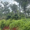 ĐẦU TƯ SINH LỜI – CẦN BÁN LÔ ĐẤT TẠI xã Bình Giã, Châu Đức, Bà Rịa Vũng Tàu
