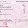 ĐẤT GIÁ RẺ- CHÍNH CHỦ CẦN BÁN ĐẤT KDC THÁI THÀNH SẴN TẠI Xã Thuận Lợi, Đồng Phú, Bình Phước